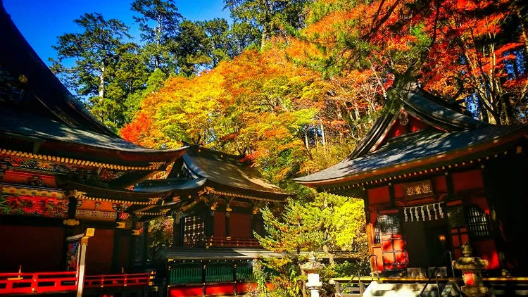 Tokyo's Hidden Gems: A 5-Day Adventure j83byu